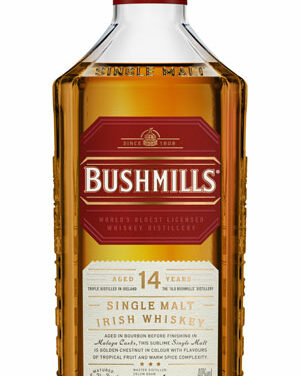 Bushmills Single Malt 14 ans