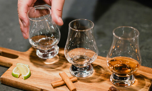 Les 6 types de verres à whisky : comparatif complet pour sublimer vos dégustations