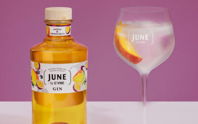 Cocktail au Gin June – Mangue Passion Tonic