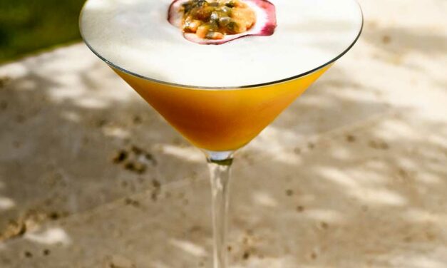 Cocktail à la vodka Bio Le Philtre : Passion Philtre