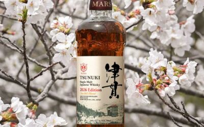 Tsunuki édition 2026, un style qui s’affirme