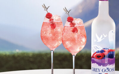 Cocktail à la vodka Grey Goose : Goose Berry