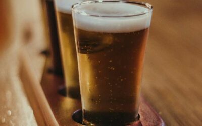 Types de bières : le guide complet pour tout comprendre