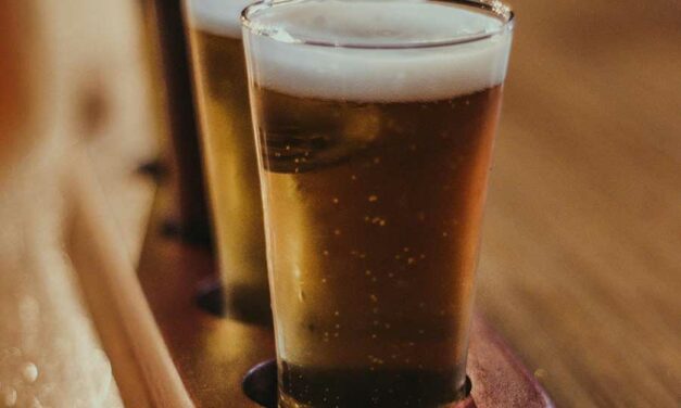 Types de bières : le guide complet pour tout comprendre