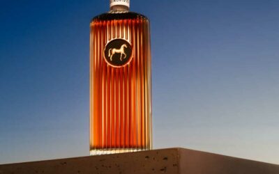 SirDavis : Beyoncé devient seule propriétaire de la marque après le retrait de Moët Hennessy