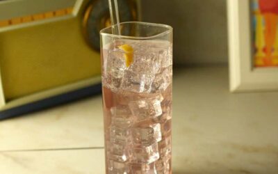 Cocktail à la liqueur Ciala : Ciala Tonic