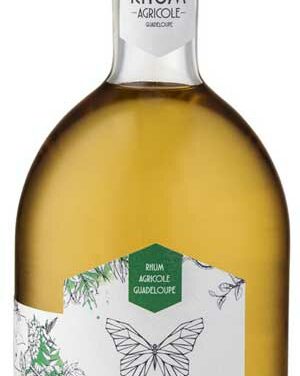 Papillon – Brun