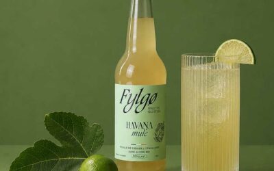 Cocktail au Fylgø : Caribbean Mule