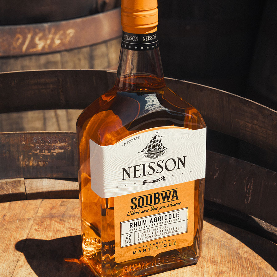 Neisson soubwa