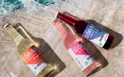 Sobaie, le kombucha de raisin du Domaine Villa Noria